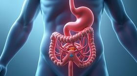 Abdominal Aortic Aneurysm (AAA) Treatment Overview