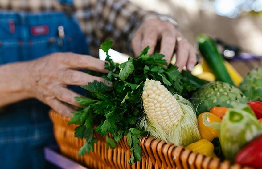 Revolutionizing Nutrition: AFPI's Urgent Call for Reform