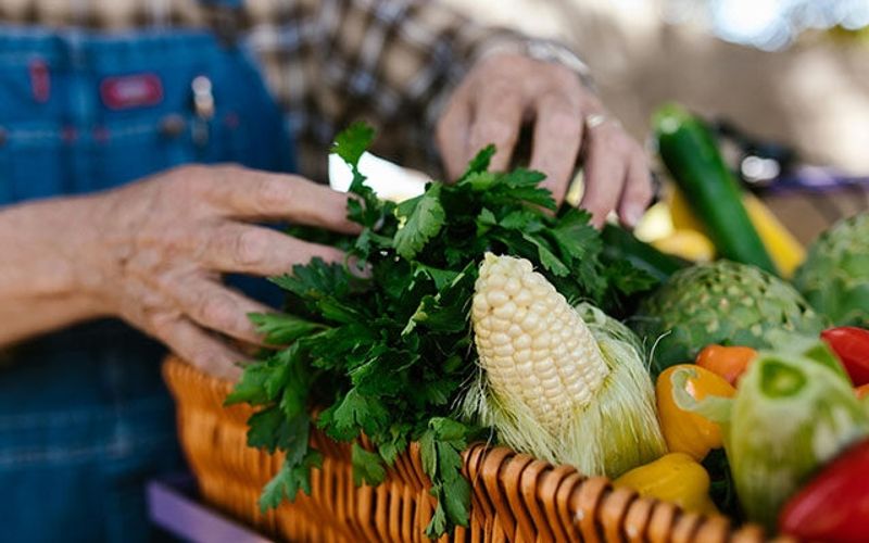 Revolutionizing Nutrition: AFPI's Urgent Call for Reform