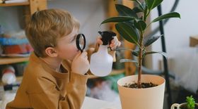 Proposed NJ Bill Stirs Controversy with New Monitoring for Homeschoolers